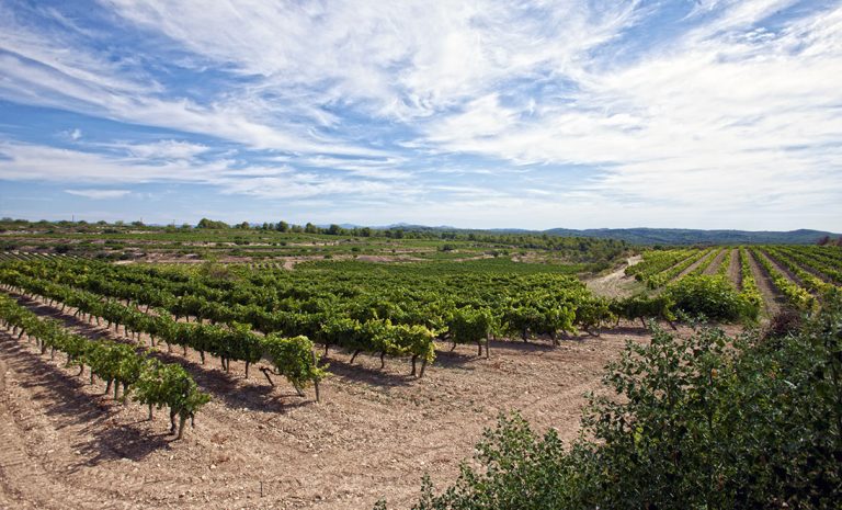 Finca-de-la-Secuita1
