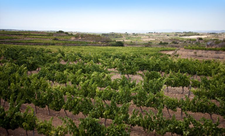 Partida-Vilabella1