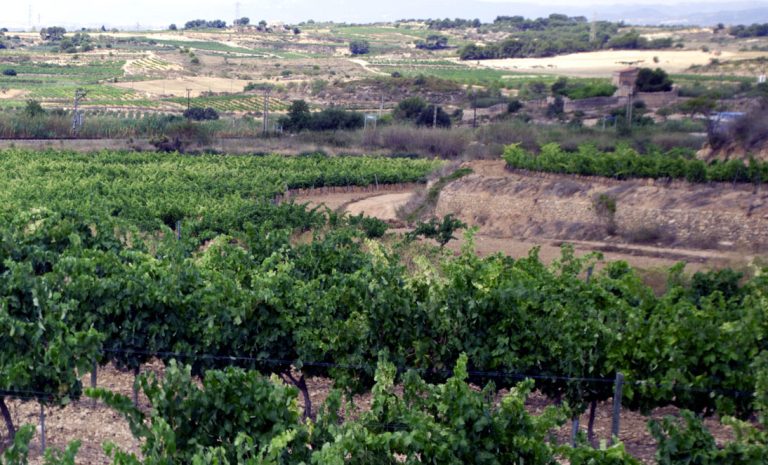 Partida-Vilabella2