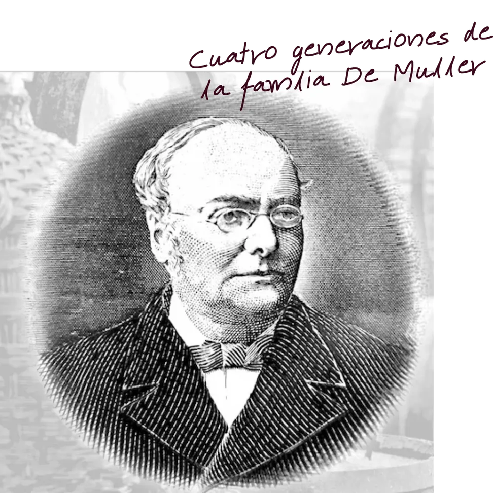 Demuller recursos web (1) resultat
