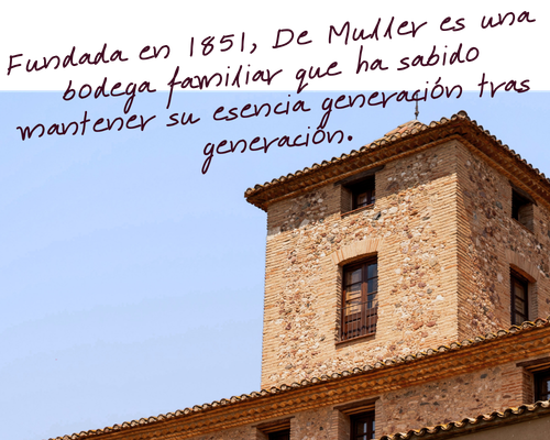 Demuller recursos web (1)